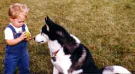 [nicky ben and ball]